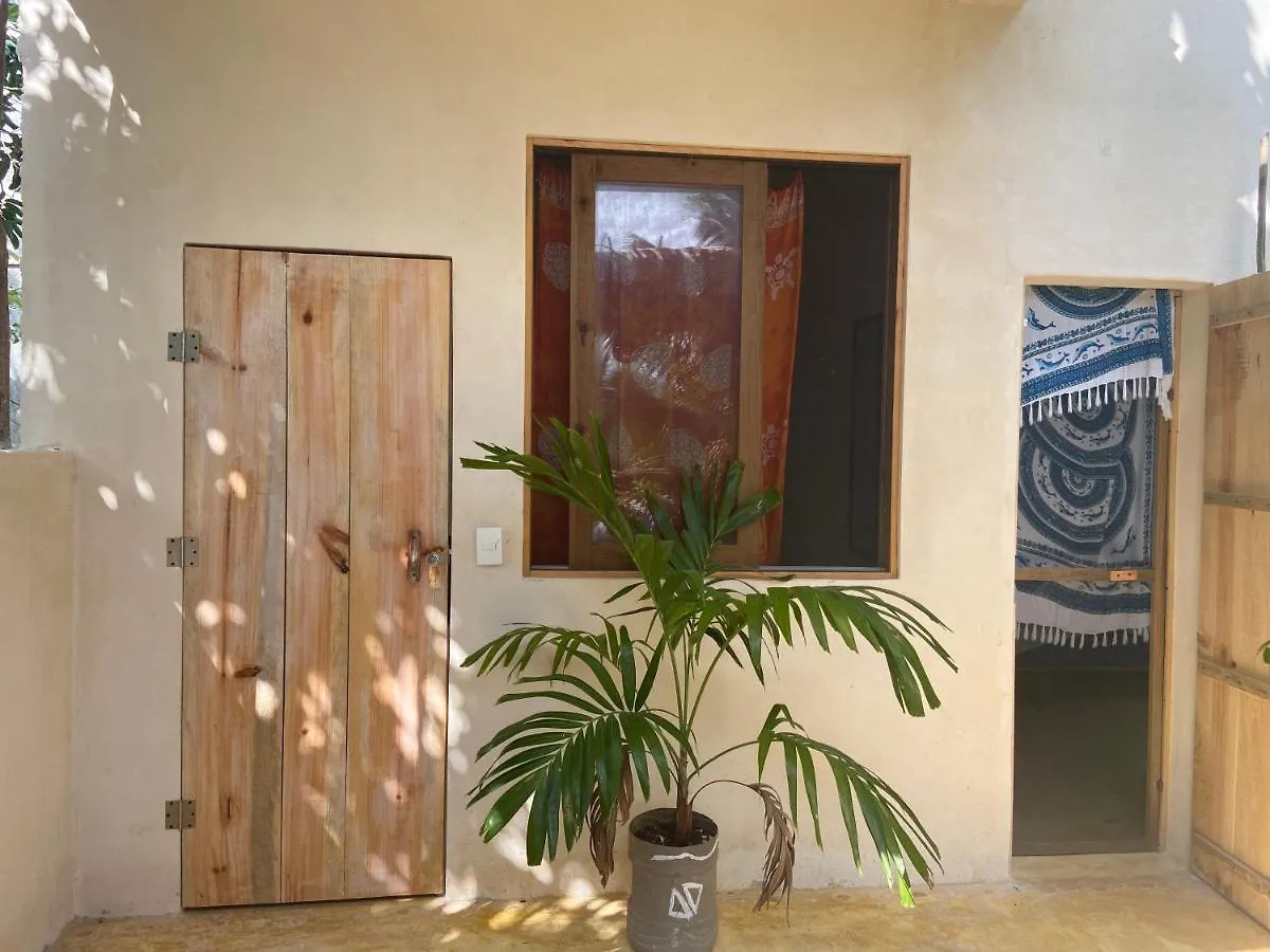 Konukevi Quinta Salamandra Playa del Carmen Meksika