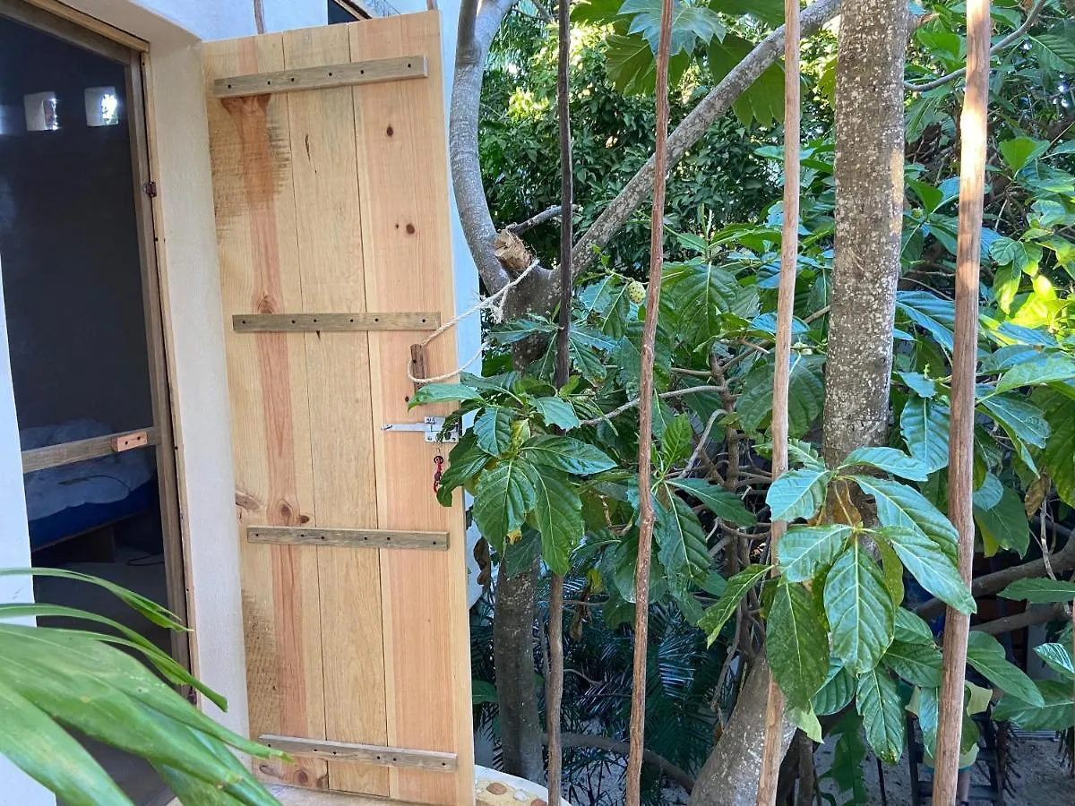 Quinta Salamandra Playa del Carmen Guest house