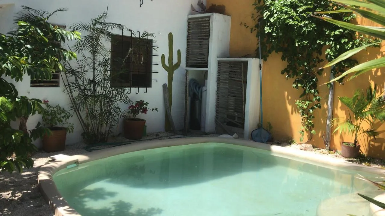 Guest house Quinta Salamandra Playa del Carmen Mexico