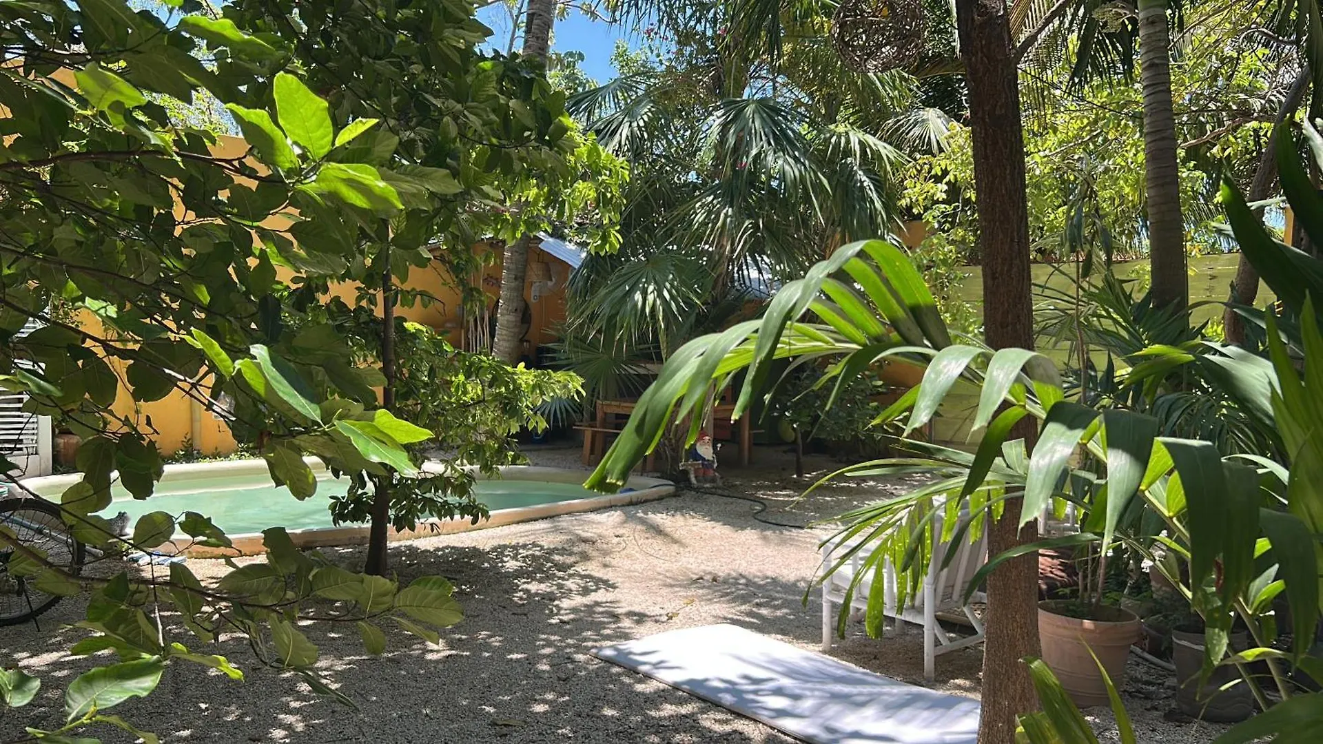 Quinta Salamandra Πλάγια Ντελ Κάρμεν 0*,  Μεξικό