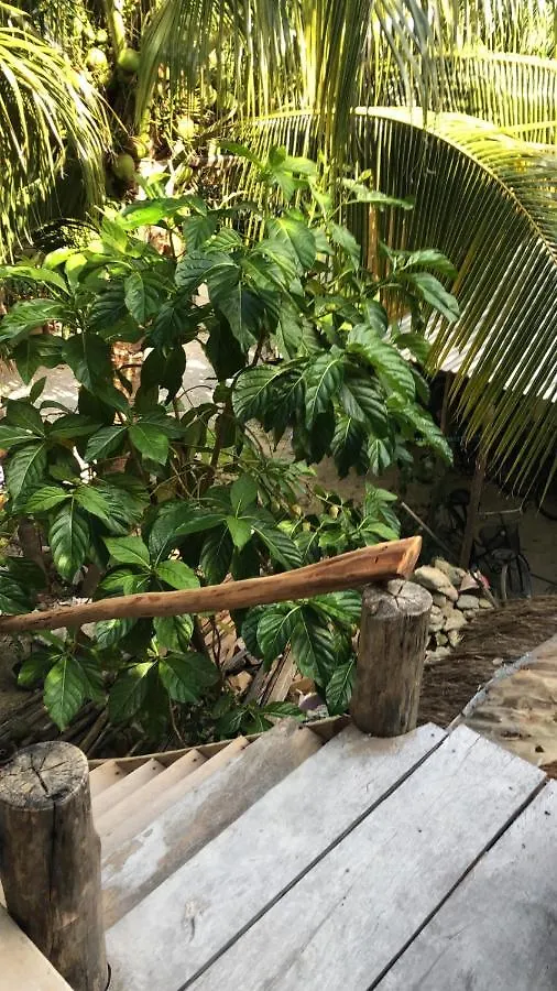 Quinta Salamandra Playa del Carmen Mexico