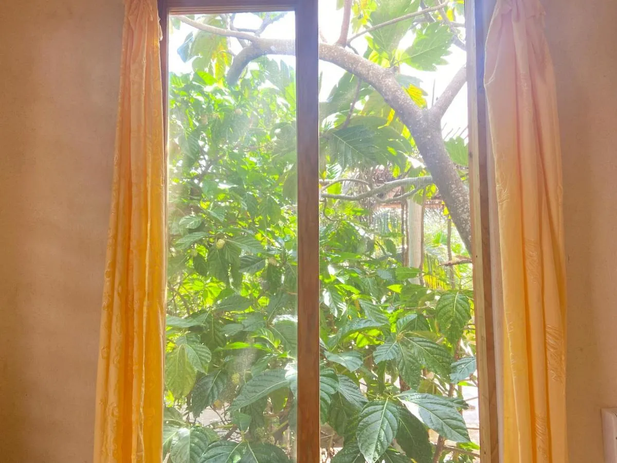 Guest house Quinta Salamandra Playa del Carmen