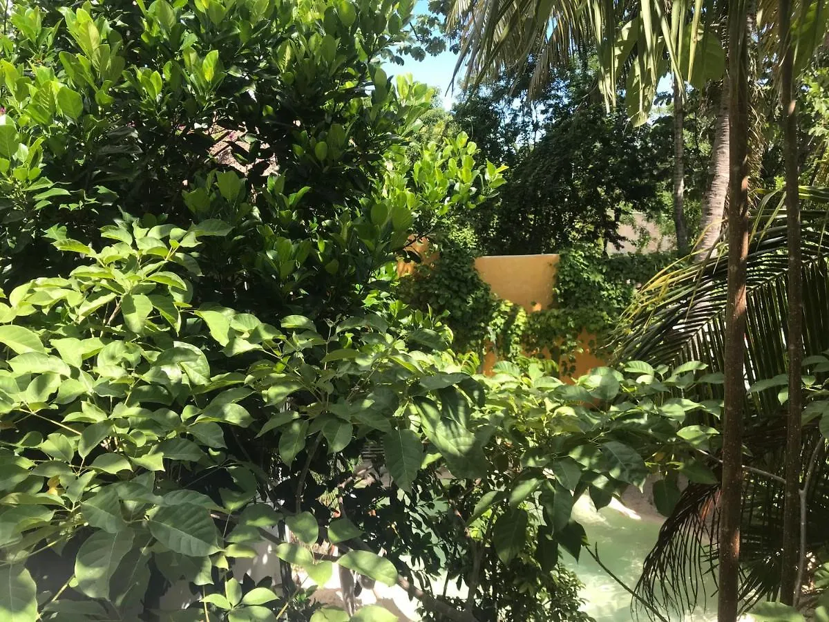 Quinta Salamandra Playa del Carmen 0*,