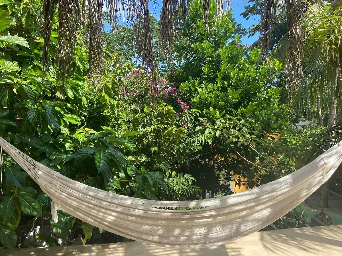 Quinta Salamandra Playa del Carmen