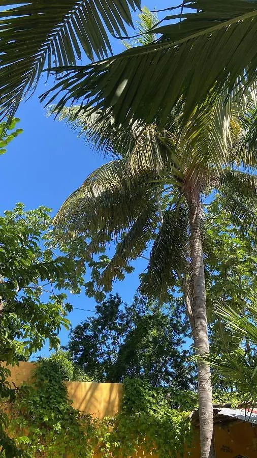 Quinta Salamandra Playa del Carmen 0*,  Mexico