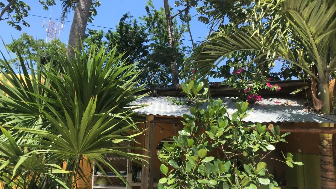 Guest house Quinta Salamandra Playa del Carmen Mexico