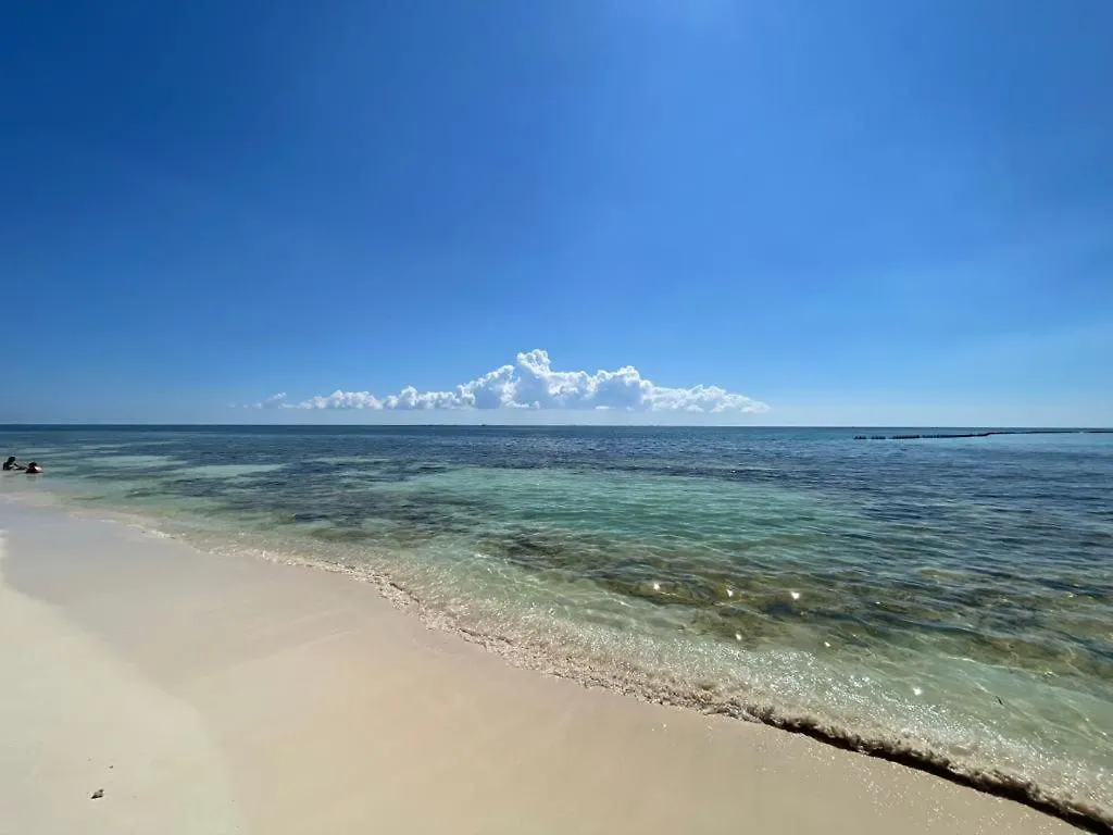 Quinta Salamandra Playa del Carmen