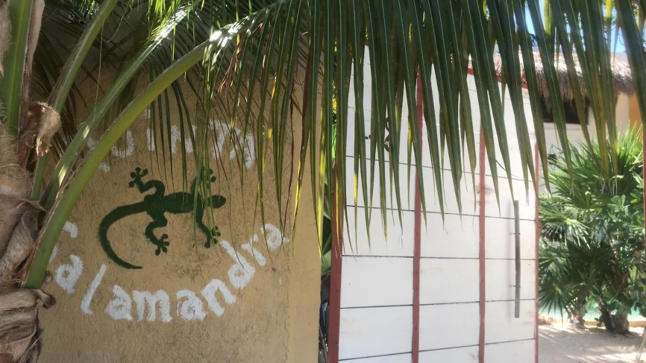 Quinta Salamandra Playa del Carmen