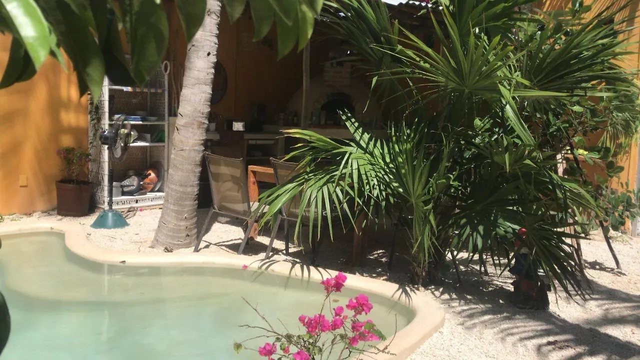 Quinta Salamandra Playa del Carmen 0*,