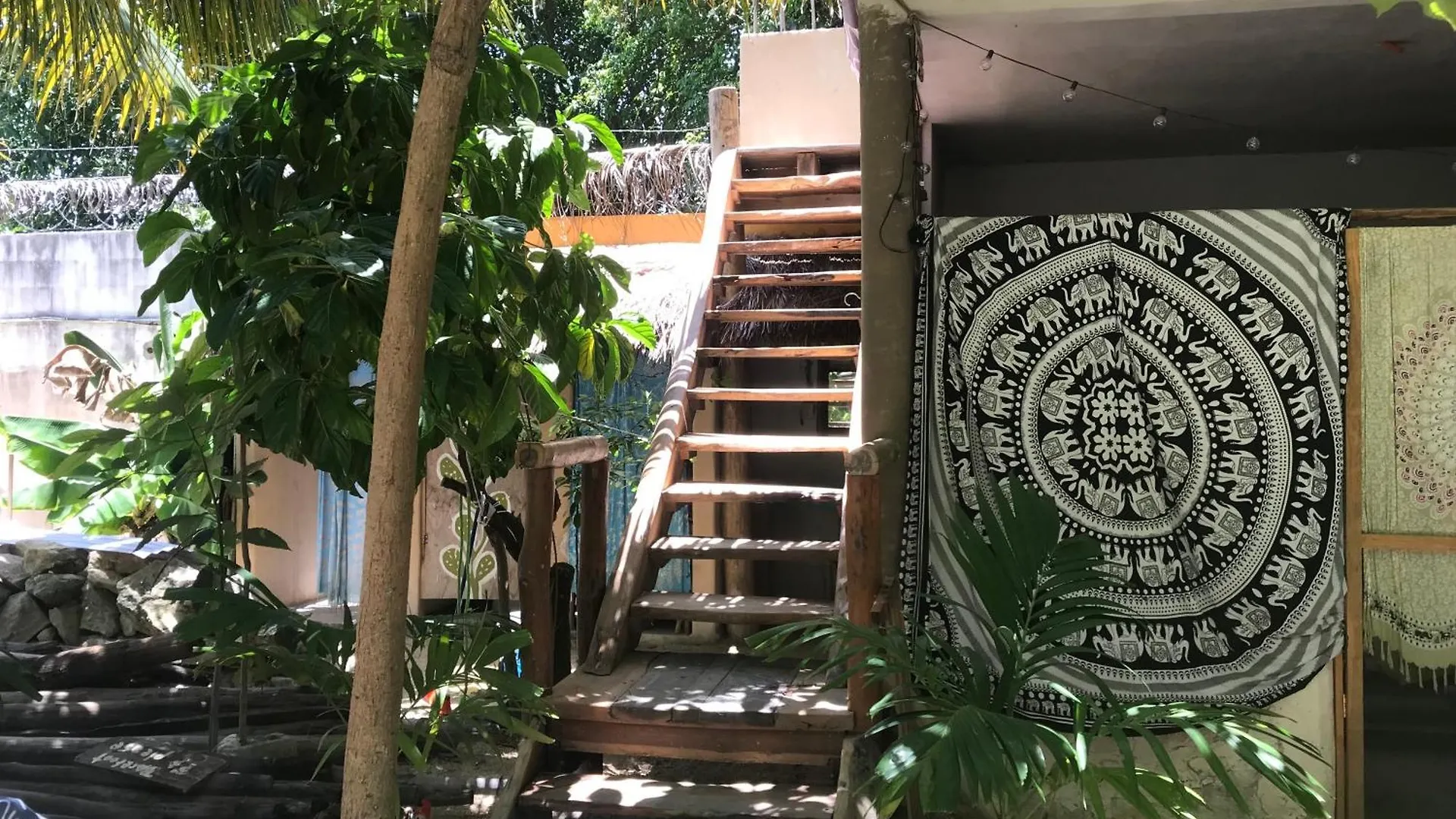 Guest house Quinta Salamandra Playa del Carmen