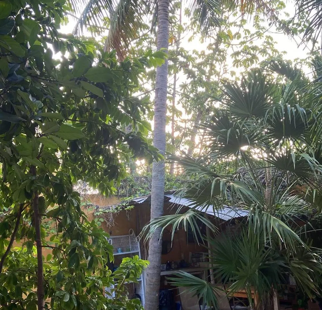 Guest house Quinta Salamandra Playa del Carmen