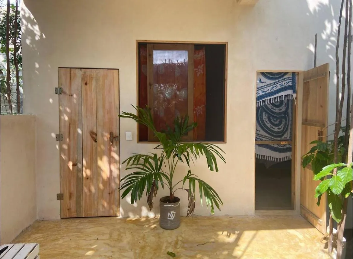 Guest house Quinta Salamandra Playa del Carmen Mexico