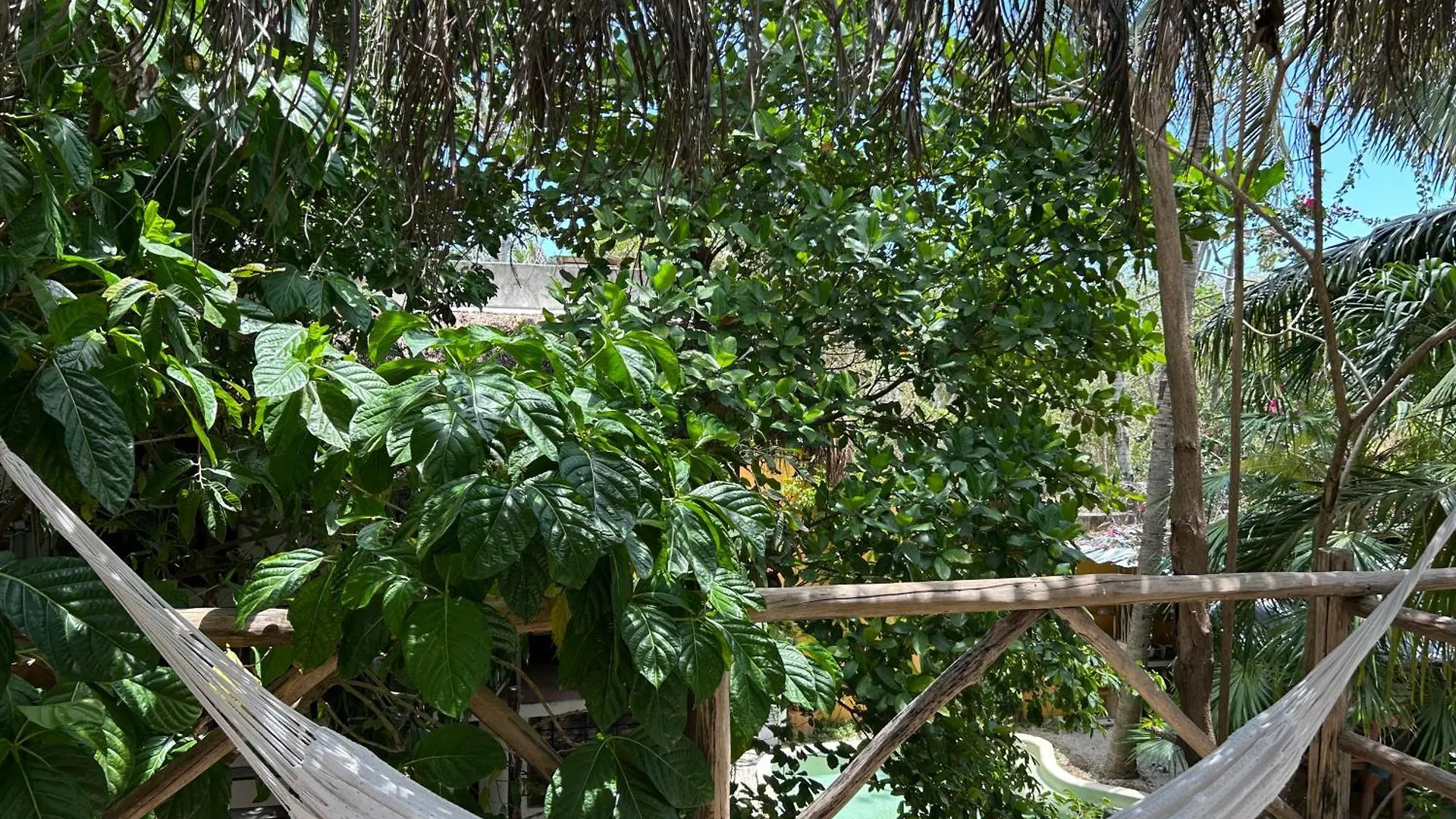 Gasthuis Quinta Salamandra Playa del Carmen
